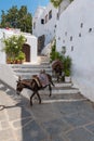 Donkey taxi Ã¢â¬â donkeys used to carry tourists to Acropolis of L Royalty Free Stock Photo